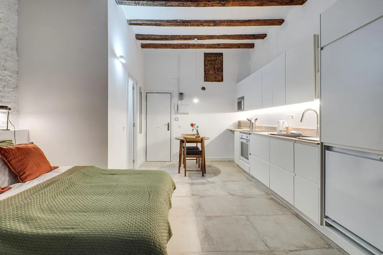 Luxury Mr Born Apartment Barcelona